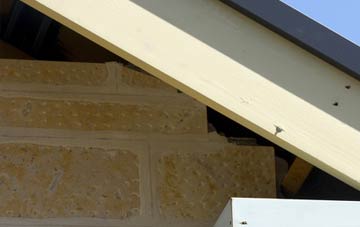 soffit repair Cauldmill